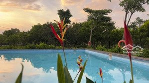 cho thuê shophouse view đẹp tại đường 990, phú hữu, quận 9, 14 triệu, 105m2