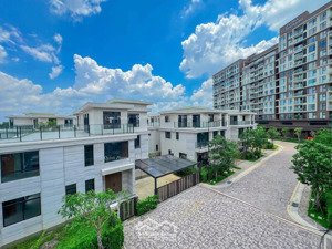 biệt thự the mizuki gần 125tr/m2 khu cao cấp, thanh toán giãn, giá trực tiếp cđt,548m2 hồ bơi riêng