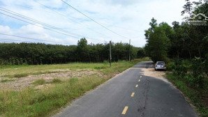 đất mặt tiền đường nhựa lớn dân cư đông đúc. sổ hồng riêng. thổ cư. giá hạt dẻ , vị trí đất đẹp.