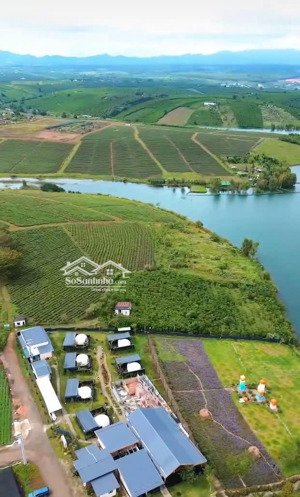 tôi có miếng đất không dùng đến bán rẻ hơn gần nửa giá lấy tiền mua nhà cho con học trường quốc tế