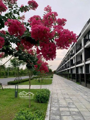 quỹ hàng chuyển nhượng tháng 12/2025 căn đẹp giá rẻ nhất hà đô charm villas.