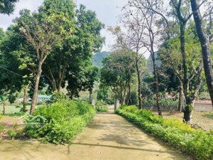 bán đất làm nhà vườn xã liên sơn lương sơn hòa bình.đã có sổ