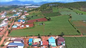 siêu vip - 1.4 ha hai mặt tiền đường, đất đỏ bazan đẹp như tranh, giá cực hấp dẫn