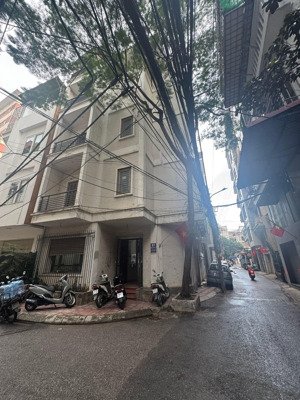 cần bán nhà phố vũ ngọc phan, láng hạ 44m 5t lô góc 2 mặt tiền ô tô tránh kinh doanh thông. 359tr/m