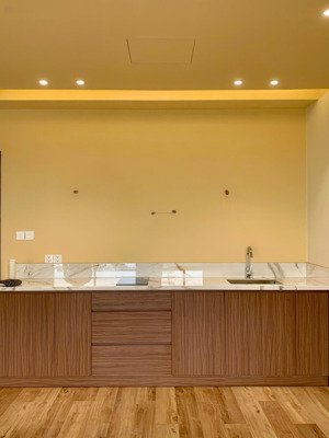 cho thuê 1pn 2wc nhà cơ bản 74m2 gần rmit, tdtu - căn hộ lavida plus q7 - lh phụng