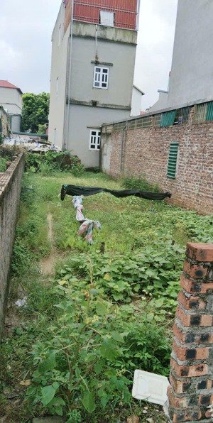 bán đất sát mp trịnh văn bô. đường ô tô tải tránh. dt 50m2, mt 4.8m, giá 5.5 tỷ