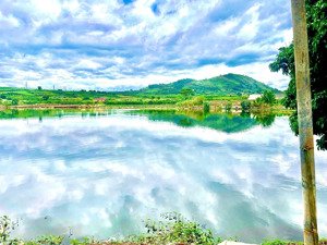 view hồ cực phẩm gần ngay trung tâm xã tân hội / sản phẩm có 1 - 0 - 2