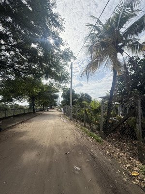 bán đất mặt kênh lớn an phú đông quận 12 giáp gò vấp sát sông vàm thuật