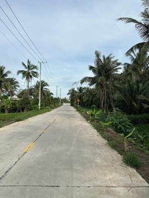 siêu rẻ. cần tiền bán lỗ, đất nền tại xã thới thạnh - thạnh phú - bến tre