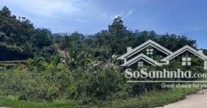 cần bán gấp lô đất nông nghiệp đăk nia gia nghĩa