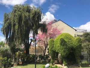 đất mặt tiền khu biệt thự cổ ngô văn sở - thế đất tựa đồi thông 5ha - view hồ thơ mộng hiếm có