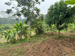 hiếm! chỉ hơn 700 triệu sở hữu mảnh đất dt 3.500m² (400m² thổ cư) lạc sơn, hòa bình