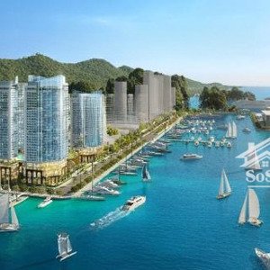 chỉ 1,4 tỷ sở hữu ngay căn hộ mặt biển vịnh bái tử long, tặng ngay 1 chỉ vàng