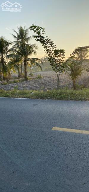 CHÍNH CHỦ CẦN BÁN GẤP LÔ ĐẤT MT ĐƯỜNG NHỰA TIỆN KINH DOANH BUÔN BÁN NGAY XÃ LỘC GIANG, ĐỨC HÒA, LONG AN