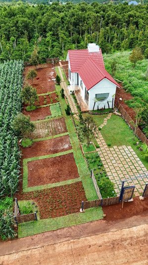 bán gấp lô đất gần chợ tân hà, lâm hà, 7x42, 124m2 thổ cư, đường betong 6m, giá 700tr, sổ riêng