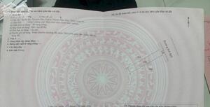 CHÍNH CHỦ CẦN BÁN GẤP LÔ ĐẤT MT TỈNH LỘ 825, THỊ TRẤN HẬU NGHĨA, ĐỨC HÒA, LONG AN