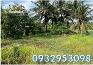 ⭐️Chính chủ bán đất vị trí đẹp (Châu Thành, Trà Vinh) nay là ấp Hoà Lạc C, xã Song Lộc, Vĩnh Long, 0932953098