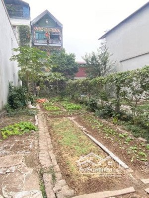 cc đang ở nước ngoài gửi bán mảnh đất sát khu đấu giá phú lương (gần trường th phú cường)