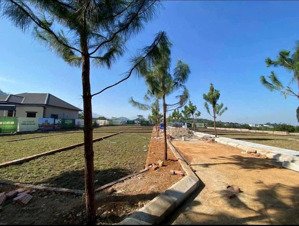 chỉ 2,5 tỷ, 100m2 tại phú cát, quốc oai, hà nội, chính chủ giá ưu đãi