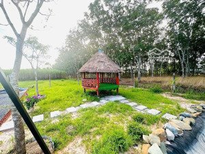 bán nhà vườn như hình thích hợp gia đình ngỉ dưỡng cuối tuần(dt 16x21m)giá 580tr. gò dầu tây ninh