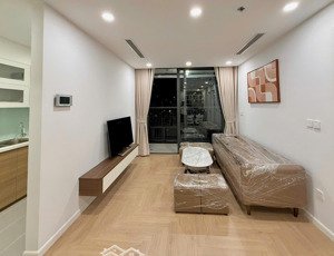 cho thuê căn góc the ninety complex 68m², 2pn full nội thất cao cấp, 2 ban công thoáng, giá 21tr/th