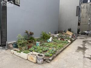 Chính chủ cần bán mảnh đất hai mặt thoáng tại trung tâm Trâu Quỳ, Gia Lâm