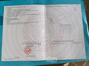 bán đất tại nguyễn thị rành, củ chi, 6,45 tỷ, 1271m2 hàng hiếm