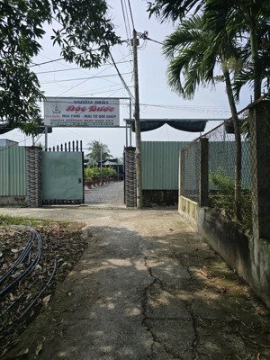 bán đất đẹp tại hưng long, bình chánh, hồ chí minh, 4 tỷ, 995 m2, nhiều tiện ích. hot