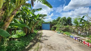 bán mảnh đất cực hiếm mặt tiền 15.7m, diện tích 88.5m2, chỉ 1.8 tỷ tại trung tâm thị trấn đông hưng