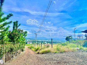 view đỉnh - thích hợp nghĩ dưỡng tại tân hội với 700m2 - nhìn toàn cảnh tt liên nghĩa