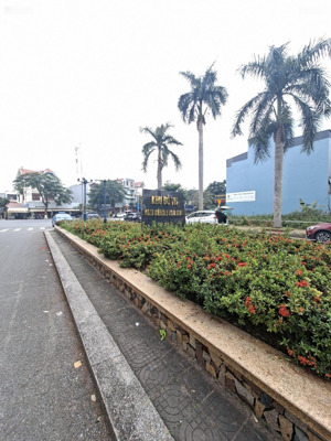 bán đất lô góc khu biệt thự nam sông lạch tray đường phạm văn đồng dt 300m2 - mt 15m. lh 