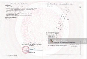 bán lô đất kđt gò gai trung tâm thủy nguyên 100m2 giá chỉ 4.35 tỷ