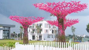 bán đất ngay tthc dầu giây - đồng nai, giá 16 triệu/m2, sổ riêng, lh: 