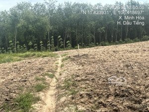 chính chủ ngộp bank thiện chí bán lô đất đẹp tại xã minh thạnh, dầu tiếng, bình dương