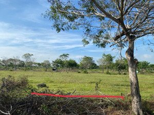 cần bán nhanh lô ecosun để giải quyết công việc gia đình