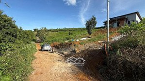 chính chủ bán 1.200m2 giá 490 triệu