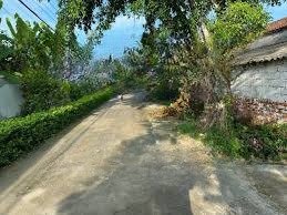 chính chủ bán nhanh lô đất mặt đường thuần lộc, hậu lộc