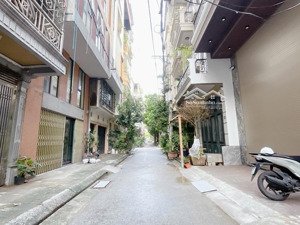 phân lô vỉa hè - ô tô đỗ tránh - mặt tiền rộng - 2 mặt ngõ - thang máy vù vù