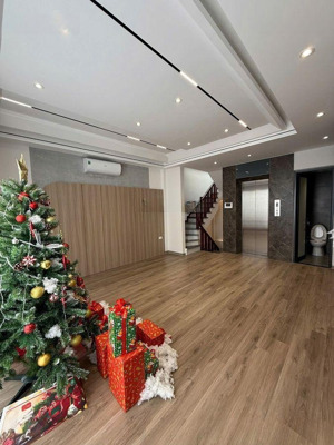 phố trạm- long biên- thang máy- 40m2- 6t- gara ôtô- nhỉnh 10 tỷ