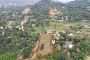 cần bán lô góc 2 mặt tiền diện tích 2460m-400m tại lương sơn hòa bình. giá hợp lý