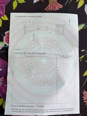 chủ gửi bán lô đất 1 sẹc nhựa sa bà cách chợ hoà khánh 300m giá tốt đầu tư