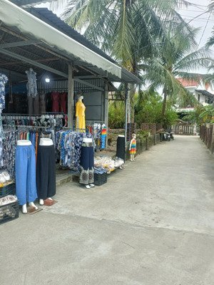 bán đất ngay rừng dừa 7 mẫu, 256m2, cẩm thanh, hội an.