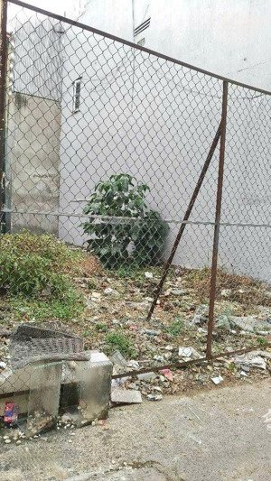 bán đất hẻm 62 lâm văn bền oto đậu sát nhà dt 60m.chỉ 6 tỷ x