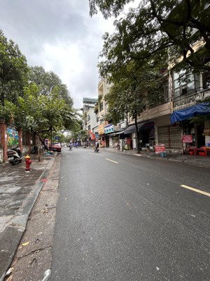 tôi chính chủ bán nhà phố tô vĩnh diện lô góc dt98 x 3 tầng kinh doanh đỉnh