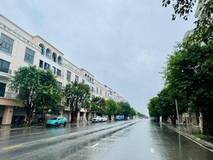 shophouse mặt đại lộ 30m vị trí kim cương đối diện đảo dừa, cơ hội chỉ đến 1 lần. giá chỉ 12,7 tỷ