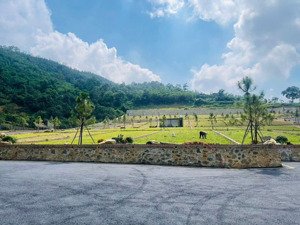 siêu phẩm! đất 200m² đông vỡ, quốc oai. mặt tiền khủng 11m, đường ô tô tránh 7m. chỉ 3 tỷ.