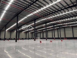 kho xưởng kcn kim hoa. mới 100%, xưởng một tầng cao 11m, dt 30.000m2 có cắt nhỏ, pccc tự động