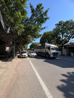 deal hiếm! 80m đất phố ql23b dòng tiền khủng chỉ hơn 10đ chút