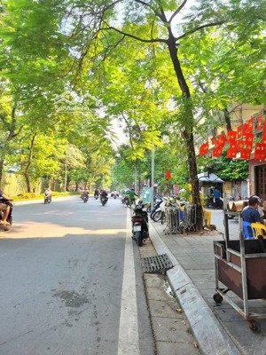 phải thật nhanh - nhà phố võ thị sáu - lô góc 3 mặt thoáng - sau nhà mặt phố - ô tô lý thuyết