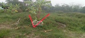 đình cao phù cừ vi trí đẹp đầu tư tiềm năng